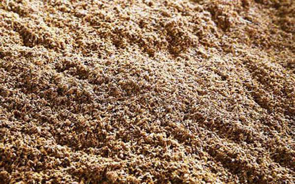 白酒糟資源化利用 白酒糟資源化利用